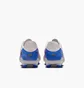 Бутсы унисекс Nike Legend 10 Academy Fg/Mg Nu2 Grey IM7518-001