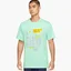 Футболка чоловіча Air Jordan Brand Green Dm1424-379