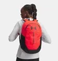 Рюкзак унісекс Under Armour Hustle Lite Red 6000399-713