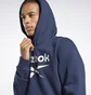 Худи мужское Reebok Identity Fleece Hoodie Blue Gr1660