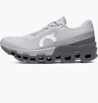 Кросівки жіночі On Cloudmonster 2 Grey 3WE10112564