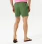 Шорти чоловічі Nike Swim Essential 5 Green NESSA560-316
