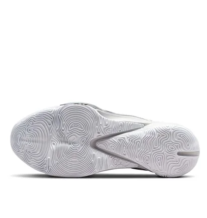 Кроссовки унисекс Nike Zoom Freak 3 Grey Da0694-004
