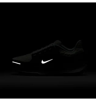 Кроссовки мужские Nike Winflo 11 Gore-Tex White/Black FQ1358-004