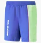 Шорты мужские Puma Mercedes-Amg Petronas Motorsport Blue 620272-10