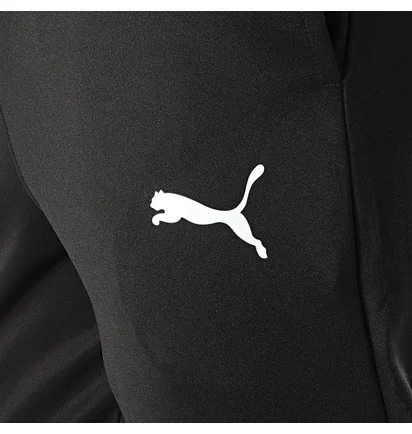 Штаны мужские Puma Individualrise Black 659476-03
