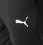 Штаны мужские Puma Individualrise Black 659476-03