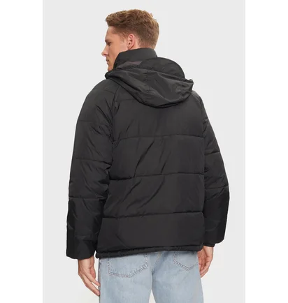 Куртка мужская Tommy Jeans Comfort Fit Hooded Zippered Coat Black DM0DM20003-BDS