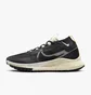Кроссовки мужские Nike Pegasus Trail 4 Gore-Tex Black DJ7926-005