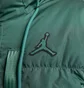 Пуховик мужской Air Jordan M J ESS STMT Blue DA9804-333