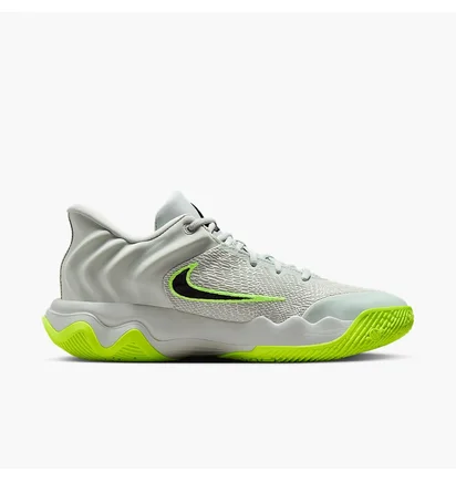 Кроссовки мужские Nike Giannis Immortality 4 Grey FQ3680-007