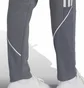 Штани жіночі Adidas Pants Tiro 23L Swpnt W Grey HZ3018
