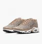 Кросівки жіночі Nike Air Max Plus Brown FB2557-200