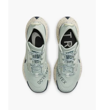 Кроссовки женские Nike Pegasus Trail 3 Gore-Tex Light Blue DC8794-003