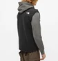 Жилетка чоловіча The North Face Denali Vest Black NF0A7UR4JK3