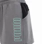 Шорты женские Puma Sportswear Fit Running Grey 518933-02