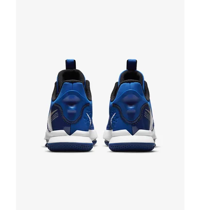 Кроссовки унисекс Nike LEBRON WITNESS V Blue CQ9380-400