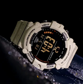 Часы мужские Casio Timeless Collection Df AE-1500WH-8B2