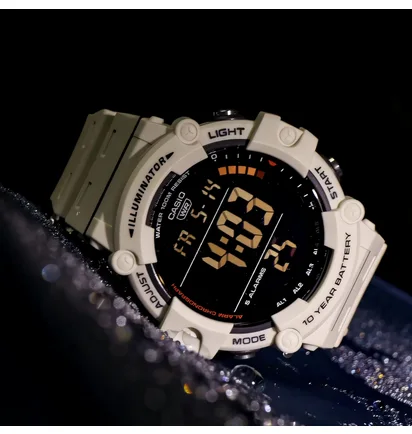 Часы мужские Casio Timeless Collection Df AE-1500WH-8B2