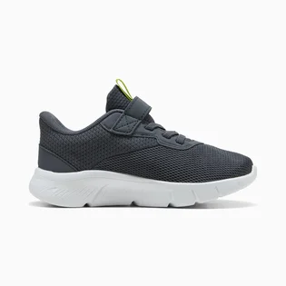 Кросівки дитячі Puma Flexfocus Modern Grey 401519-26