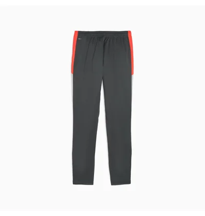 Штаны мужские Puma Individualliga Grey 659517-10