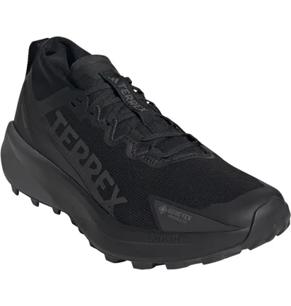 Кросівки чоловічі Adidas Terrex Agravic Gtx Black JR5240