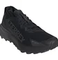 Кросівки чоловічі Adidas Terrex Agravic Gtx Black JR5240