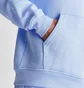 Худи мужское Air Jordan Essentials Jumpman Logo Fleece Pullover Hoodie Light Blue FJ7774-425
