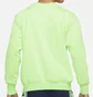 Лонгслив мужской Nike Dri-Fit Standard Issue Green DA6741-345