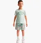 Набір: футболка, шорти Nike Club Green/Grey 86N878-F28