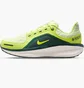 Кросівки жіночі Nike Winflo 11 Green FQ1359-300