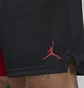 Шорти чоловічі Air Jordan M J Df Sprt Bc Mesh Gfx Short Red/Black Dm1815-687