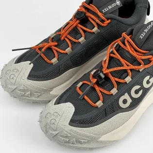 Кроссовки мужские Nike Acg Mountain Fly 2 Low Gore-Tex Grey HF6245-002