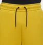 Штани чоловічі Nike Nsw Tech Fleece Joggers Yellow CU4495-743