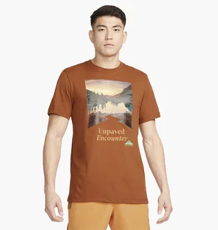 Футболка мужская Nike Trail Dri-Fit Running T-Shirt Brown FD0120-246