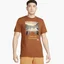 Футболка мужская Nike Trail Dri-Fit Running T-Shirt Brown FD0120-246