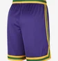 Шорты мужские Nike Dri-Fit Nba Swingman Utah Jazz Hardwood Classics 2023/24 Violet DX8726-547