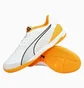 Футзалки мужские Puma Ibero Iv White 107418-04