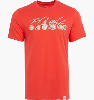 Футболка мужская Air Jordan Essential Rings Tee Orange FN5966-604