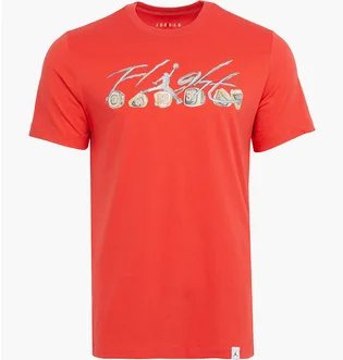 Футболка мужская Air Jordan Essential Rings Tee Orange FN5966-604