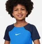 Спортивный костюм детский Nike Lk Df Acdpr Trn Kit Blue DH9484-463