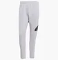 Штаны мужские Adidas Future Icons Badge Of Sport Sportswear Grey HY3398