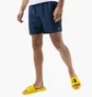 Шорты мужские Nike Swim Essential 5 Blue NESSA560-440