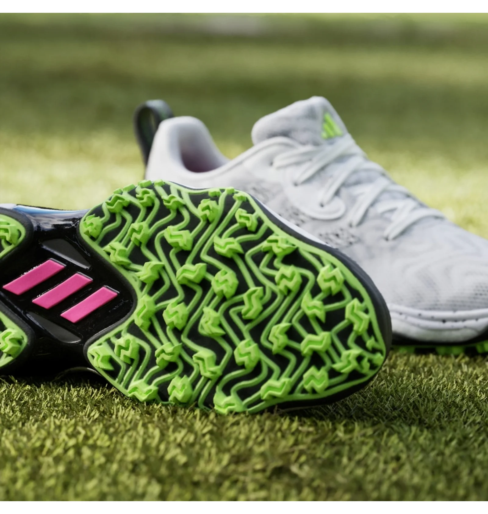 ᐉ Кросівки жіночі Adidas Codechaos 25 Spikeless Golf White IE3448