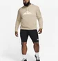 Худі чоловіче Nike Dri-Fit Trail Magic Hour Beige DV9324-247