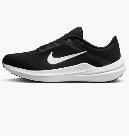 Кроссовки мужские Nike Winflo 10 Black DV4022-003