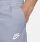 Штаны мужские Nike Club Grey DX0613-493