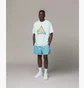 Шорти чоловічі Nike Acg Reservoir Goat Short Light Blue FN2472-464