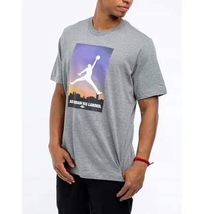 Футболка мужская Air Jordan 23 Grey CU2839-091