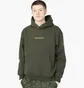Худи мужское Air Jordan X Psg Fleece Pull-Over Hoodie Olive FN5324-355